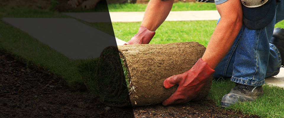 Midland Park Landscapers